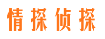 陆丰出轨调查